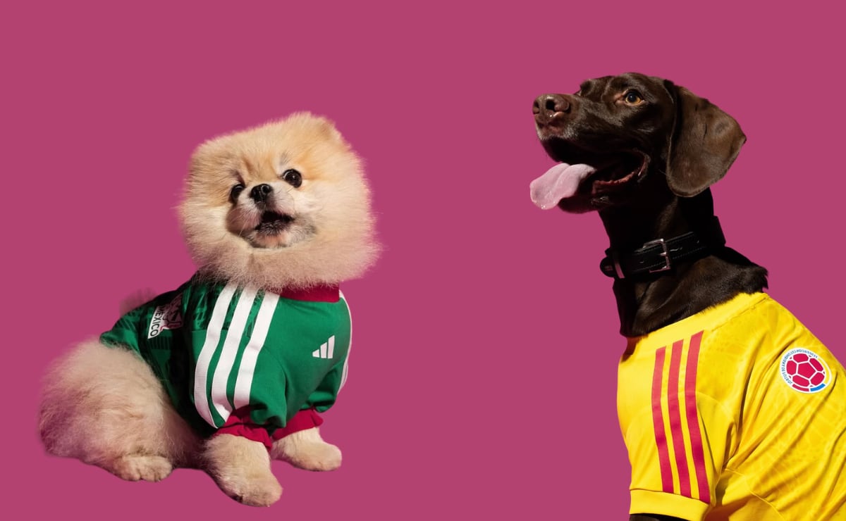 Adidas lanza jerseys de la Selección Mexicana para mascotas rumbo al Mundial 2026