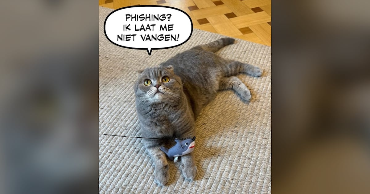 Él es Maximus, gato viral del primer ministro de Bélgica que predijo el triunfo de México vs. Sudáfrica