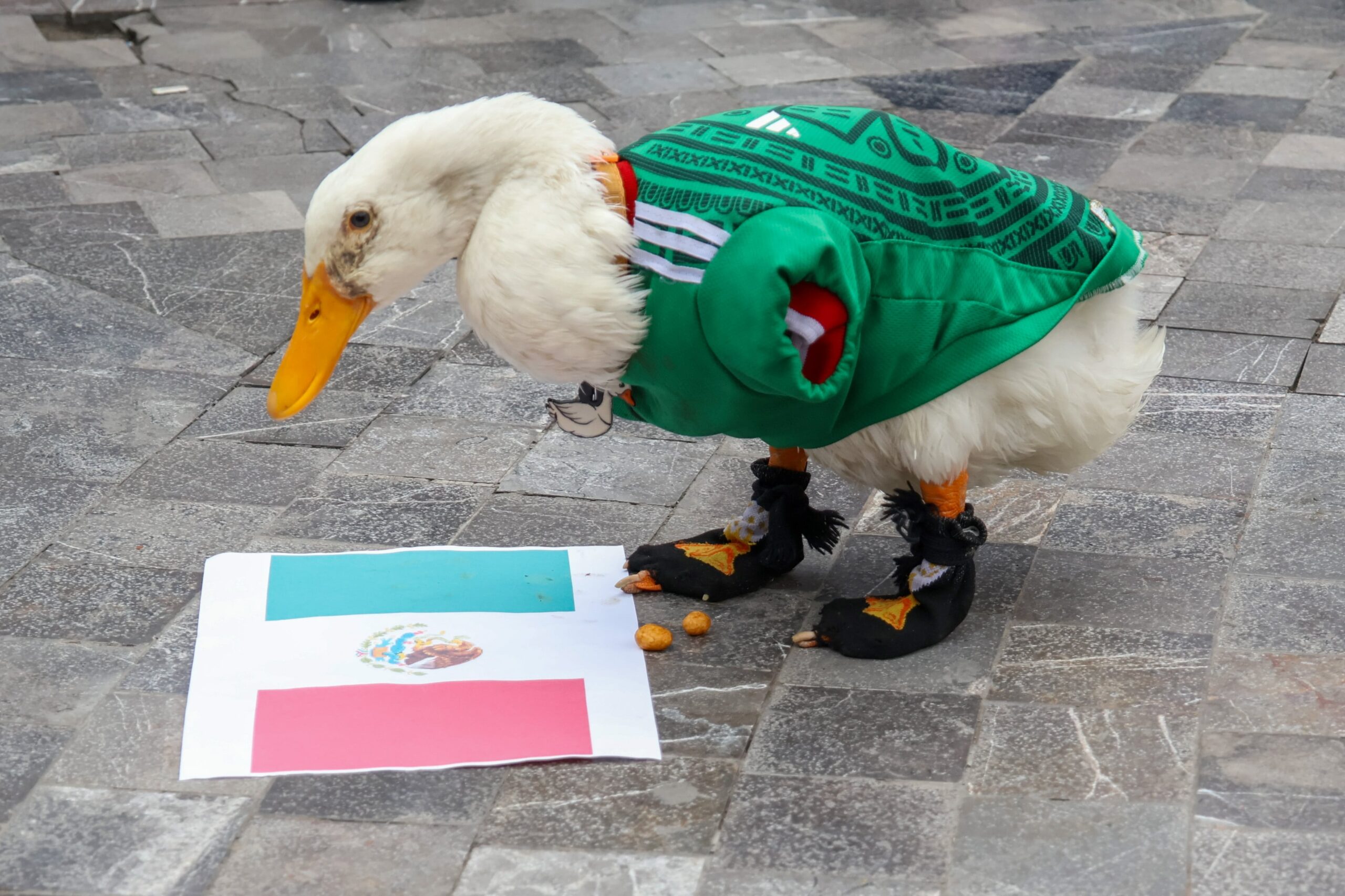 Pato Merlín y su familia estarán en el Mundial 2026; acompañarán al Tricolor en el Estadio Ciudad de México